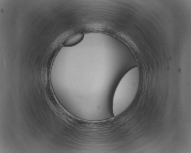X0000081620494200701151058