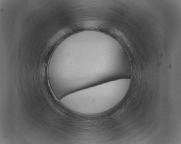 X0000081620495200701151058