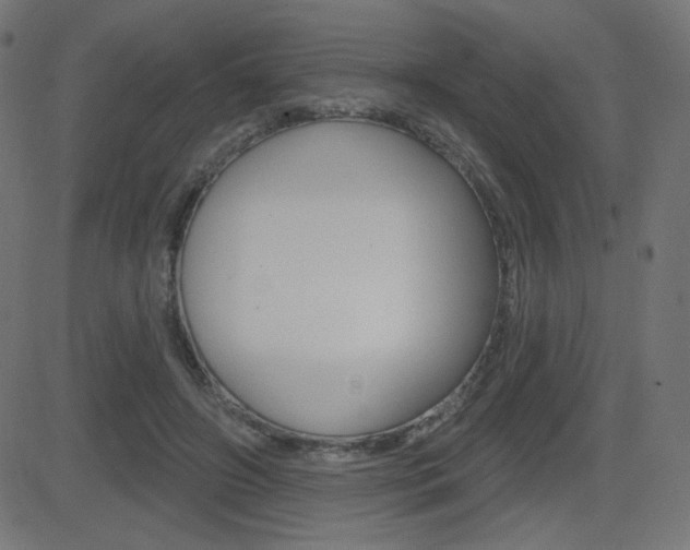 X0000081620498200701151058