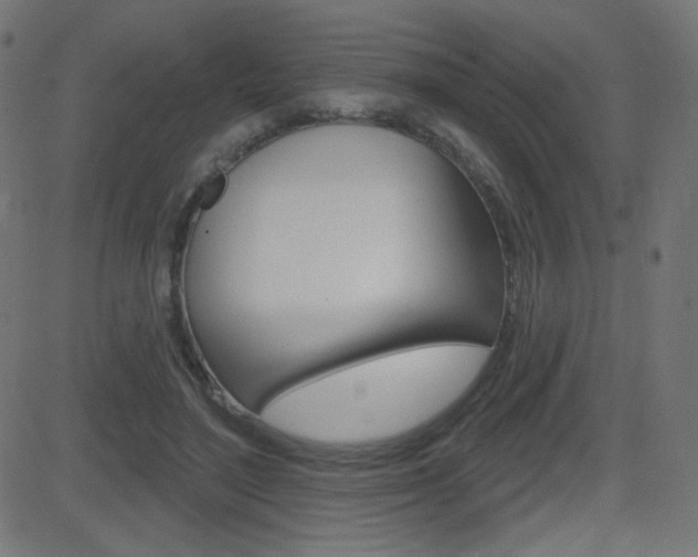 X0000081620500200701151058