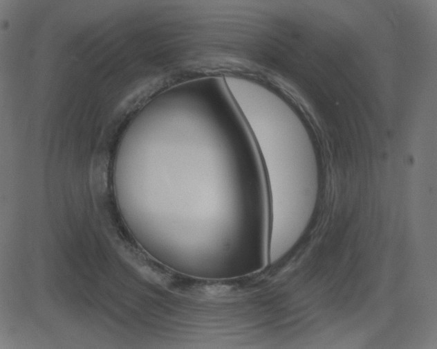 X0000081620501200701151058