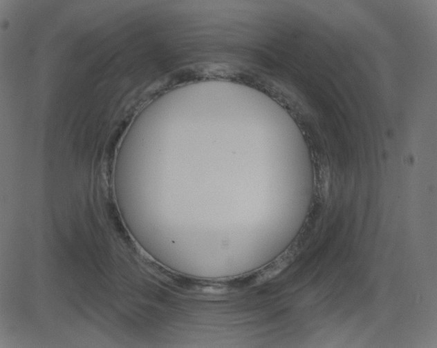 X0000081620506200701151058