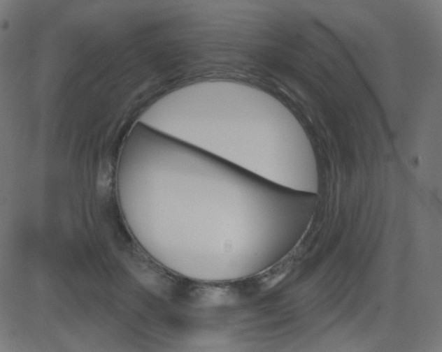 X0000081620507200701151058