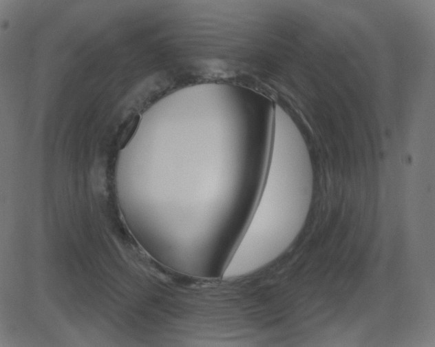 X0000081620512200701151058
