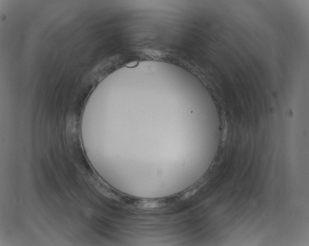 X0000081620518200701151058