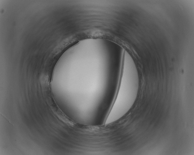 X0000081620521200701151058