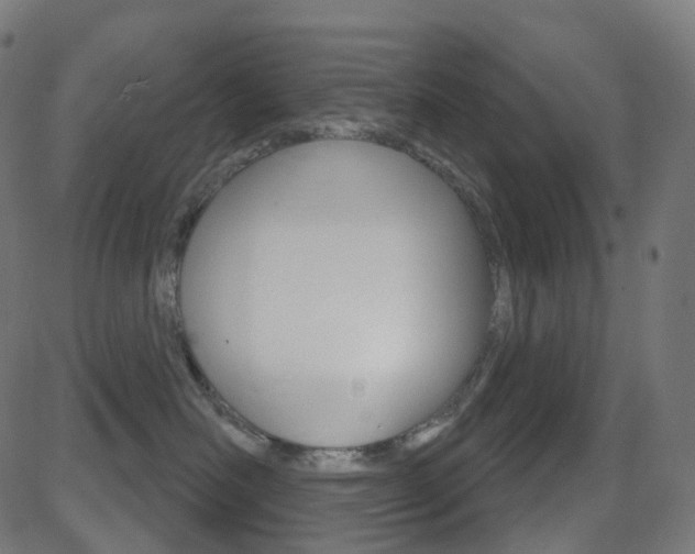 X0000081620526200701151058