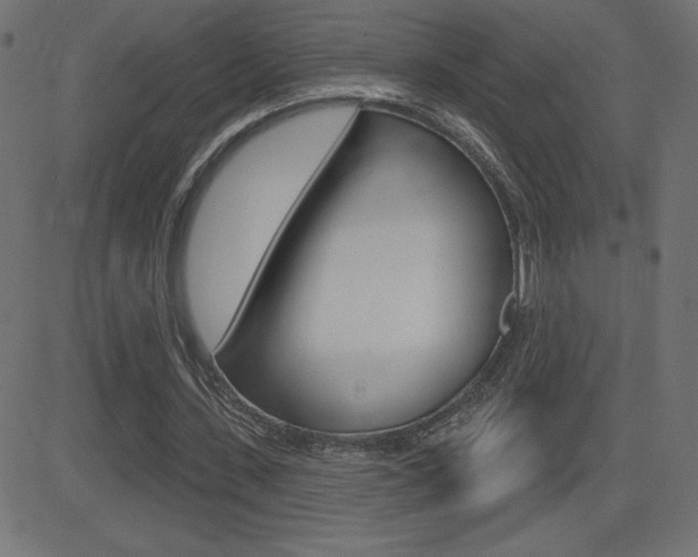 X0000081620531200701151057