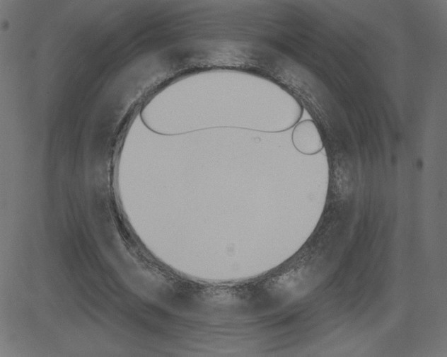 X0000081620534200701151057