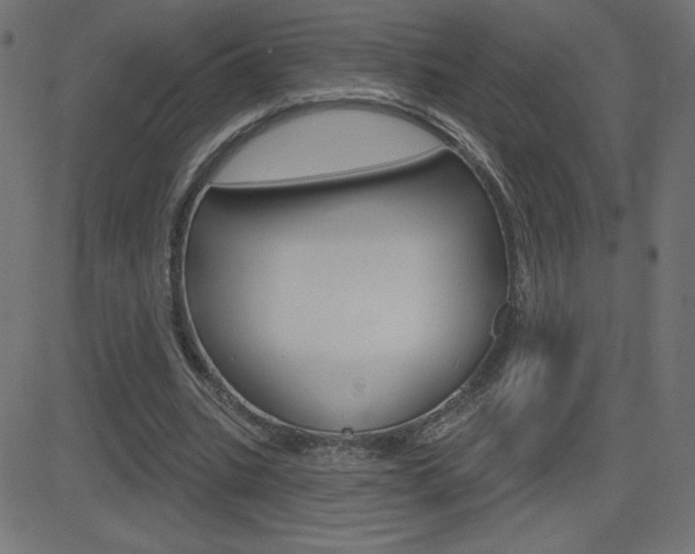 X0000081620535200701151057