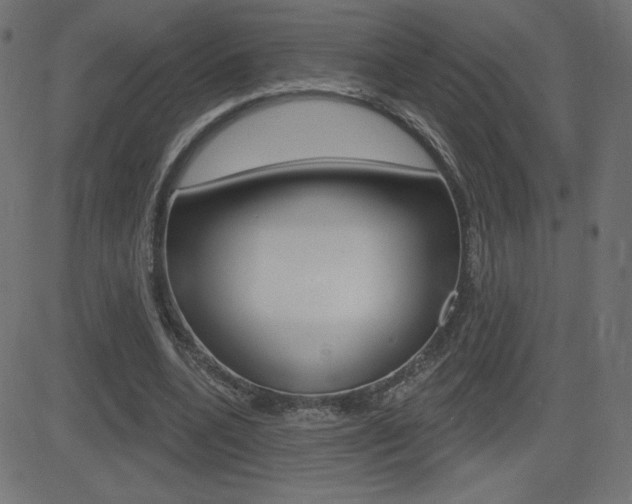 X0000081620536200701151057
