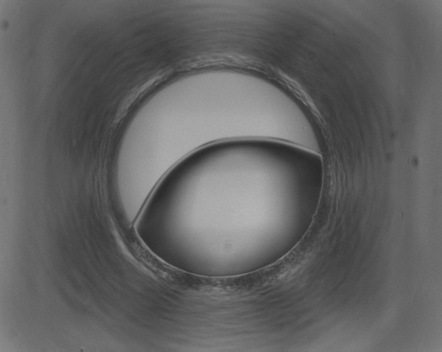 X0000081620538200701151057