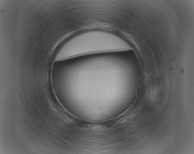 X0000081620539200701151057