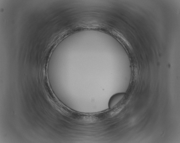 X0000081620541200701151057