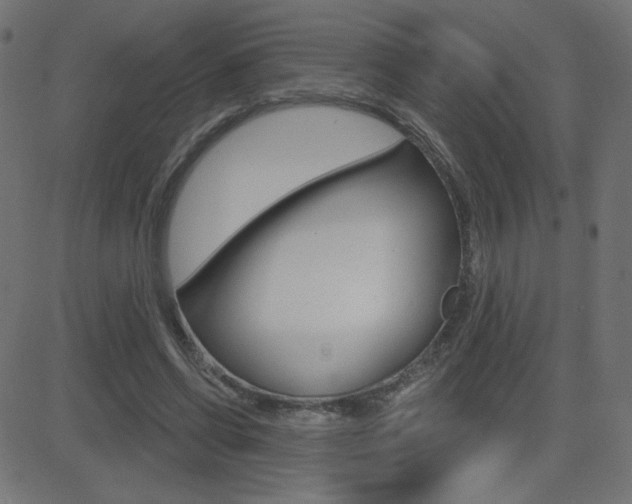 X0000081620542200701151057