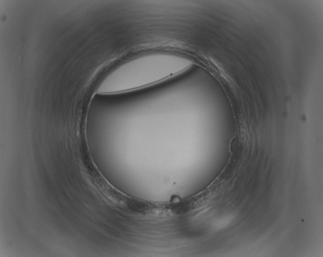X0000081620543200701151057