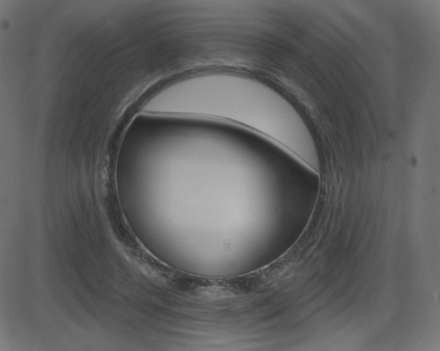 X0000081620544200701151057