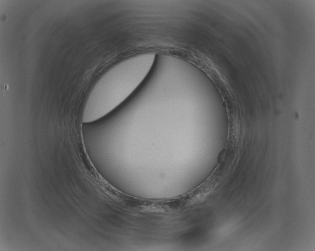 X0000081620545200701151057