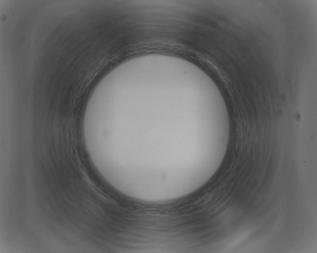 X0000081620546200701151057