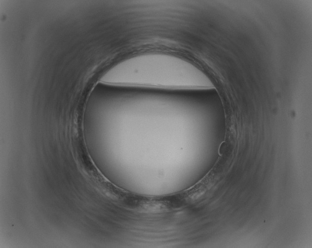 X0000081620547200701151057