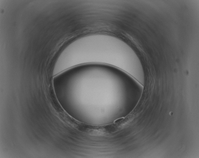 X0000081620548200701151057
