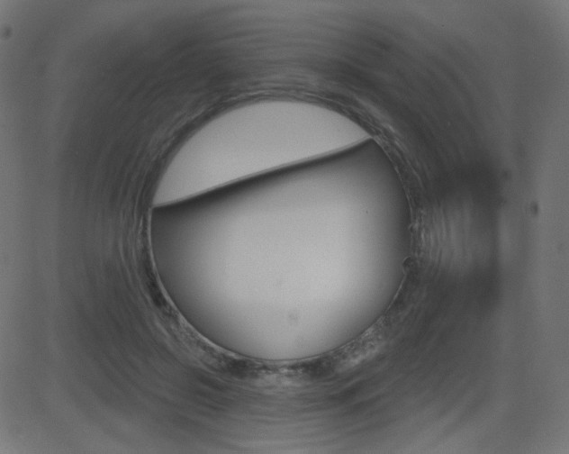 X0000081620550200701151057