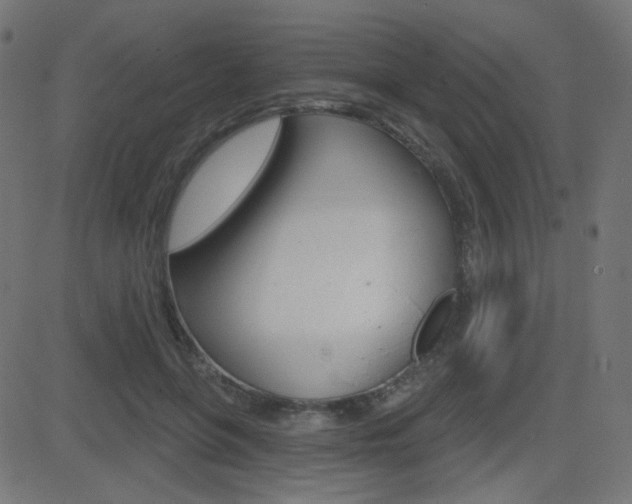 X0000081620551200701151057