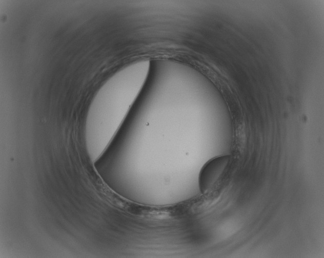 X0000081620554200701151057