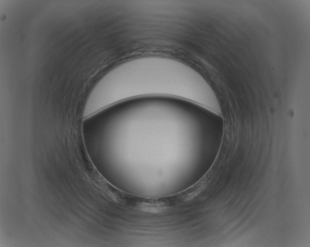 X0000081620556200701151057