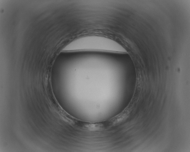 X0000081620558200701151057