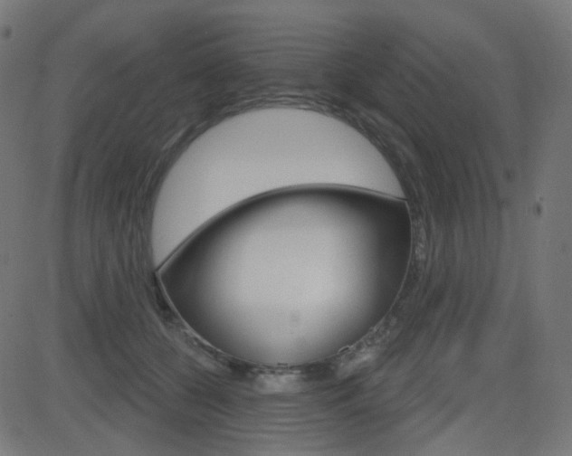 X0000081620560200701151057