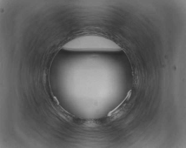 X0000081620562200701151057