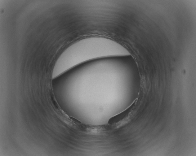 X0000081620564200701151057