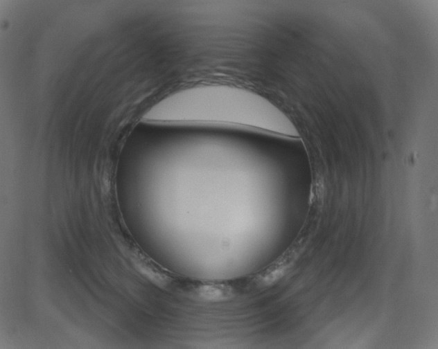 X0000081620566200701151057
