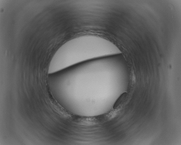 X0000081620567200701151057