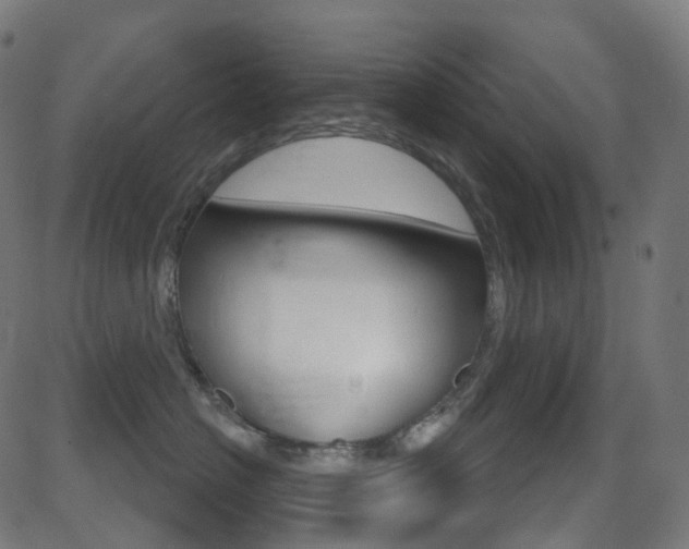X0000081620574200701151058