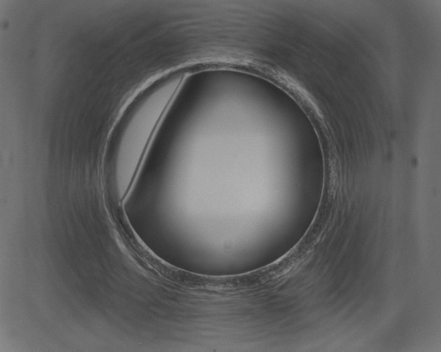 X0000081620580200701151057