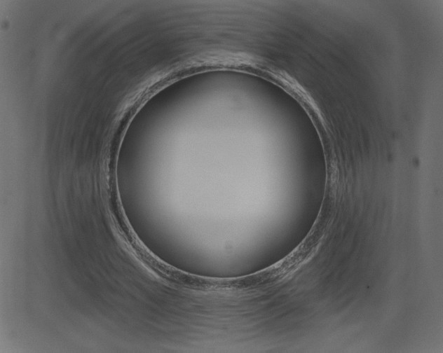 X0000081620581200701151057