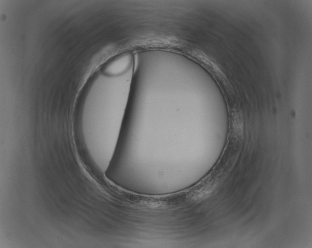 X0000081620582200701151057