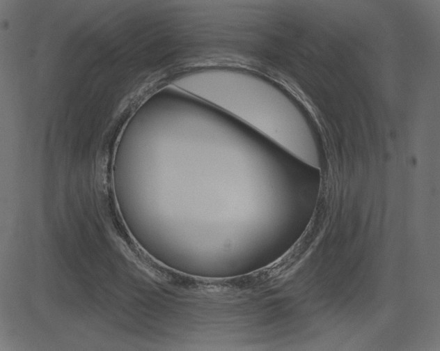 X0000081620585200701151057