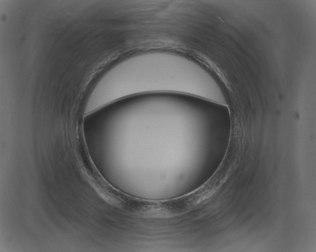 X0000081620589200701151057