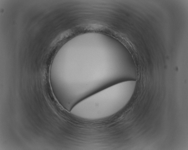 X0000081620591200701151057