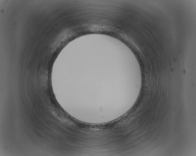 X0000081620592200701151057