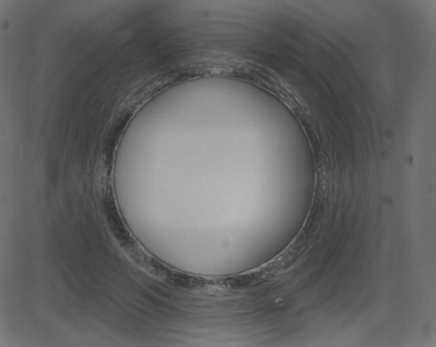 X0000081620594200701151057