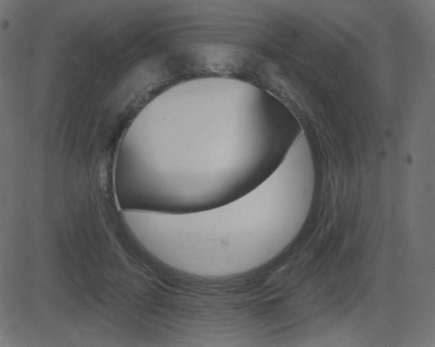 X0000081620595200701151057