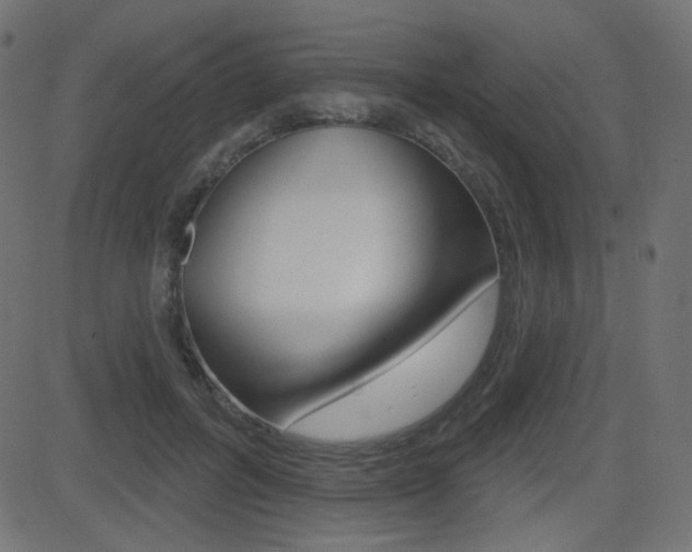 X0000081620600200701151056