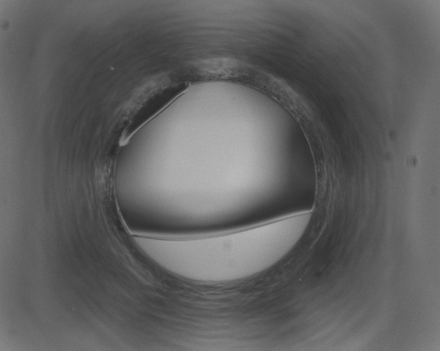 X0000081620601200701151056