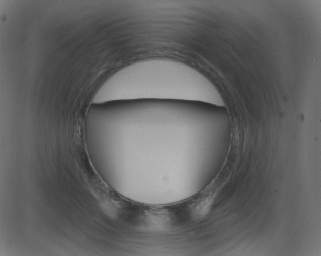 X0000081620603200701151056