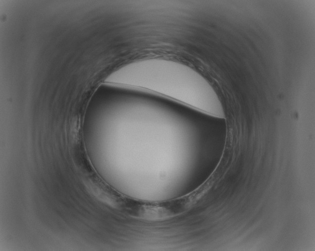 X0000081620605200701151056