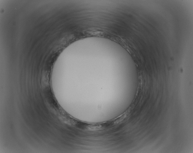 X0000081620606200701151056